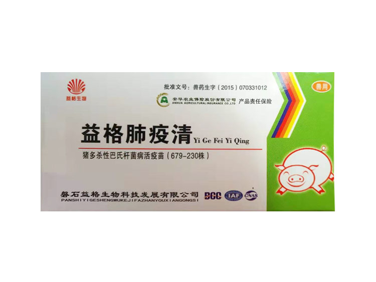 豬瘟疫苗在什么情況下打？